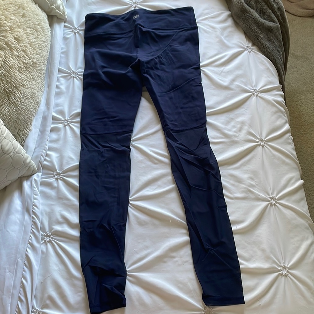 ALO blue workout plants